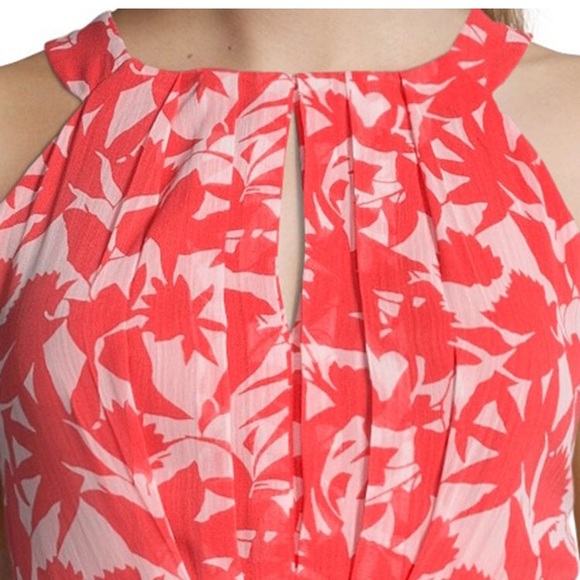 5 star ⭐️⭐️⭐️⭐️⭐️ rated!! Only 2 left!! - Picture 4 of 5